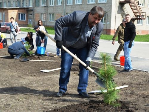 Ачинские депутаты приняли участие в озеленении городских территорий